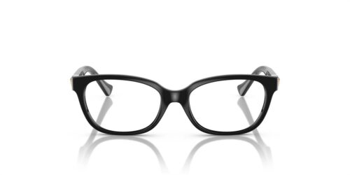 GB1 - Black frame / Clear lenses