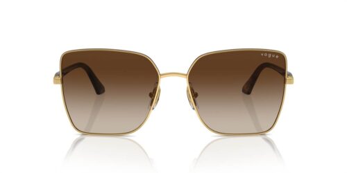 507813 - Top Havana/Gold frame / Gradient Brown lenses