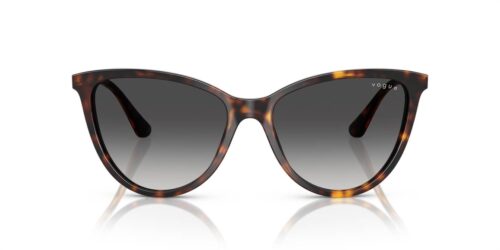 W6568G - Dark Havana frame / Grey Gradient Black lenses