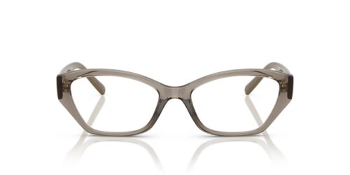3156 - Transparent Brown frame / Clear lenses
