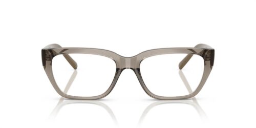 3156 - Transparent Brown frame / Clear lenses