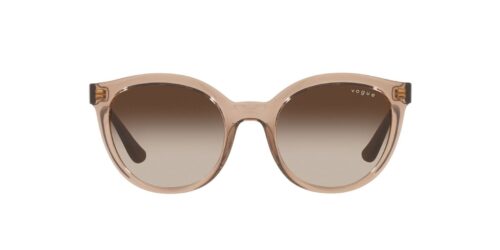 294013 - Transparent Brown frame / Brown Gradient lenses