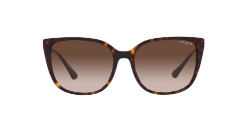 W65613 - Dark Havana frame / Brown Gradient lenses