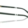 Polo Ralph Lauren  PH2297 Shiny Striped Brown Frame