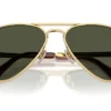 Ray-Ban Aviator Max RB3925 Green