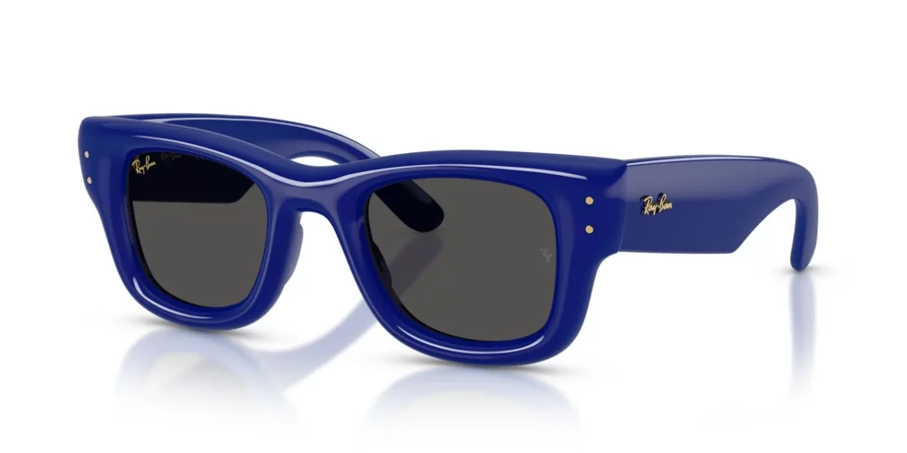 Ray-Ban • RB-4940-683387 • 0RB4940 683387 P21 shad qt