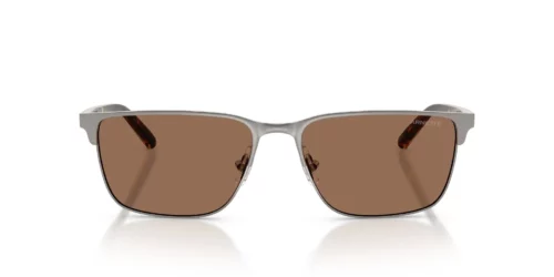 738/73 - Brushed Gunmetal frame / Dark Brown lenses