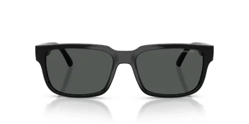 290087 - Black frame / DARK GREY lenses