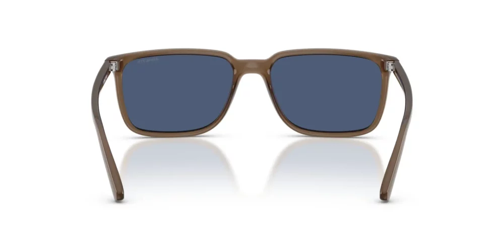 Arnette • AN-4364-299780 • 0AN4364 299780 P21 shad bk