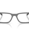 Arnette Raysin AN7283 Grau/Transparent Grauer Rahmen