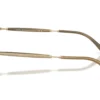 Giorgio Armani  AR6177 Gradient Brown