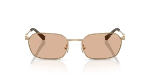 612173 - Matte Pale Gold frame / Brown lenses