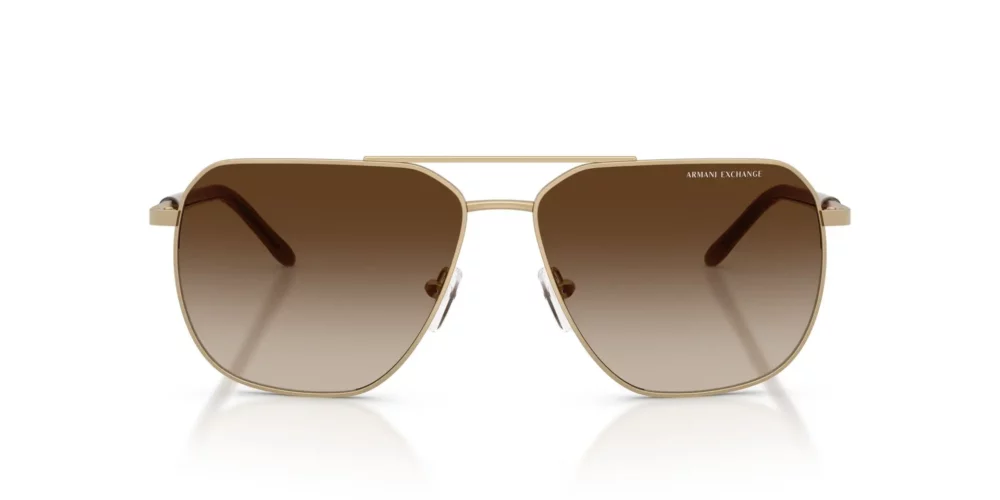 Armani Exchange • AX-2057S-612113 • 0AX2057S 612113 P21 shad fr