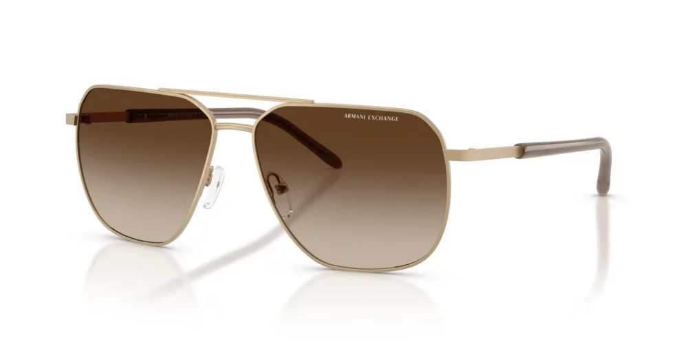 Armani Exchange • AX-2057S-612113 • 0AX2057S 612113 P21 shad qt