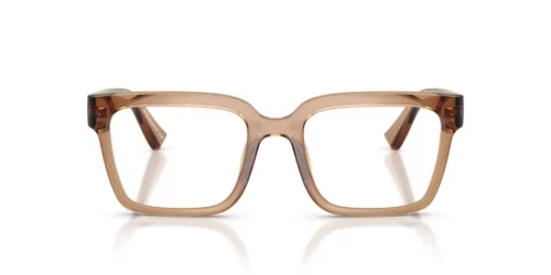 Armani Exchange  AX3133U Shiny Transparent Brown Frame