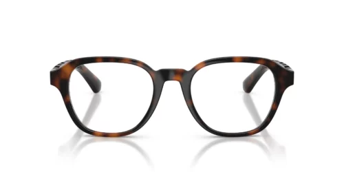 3002 - Dark Havana frame / Clear lenses