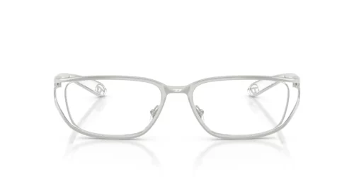 1001 - Silver frame / Clear lenses