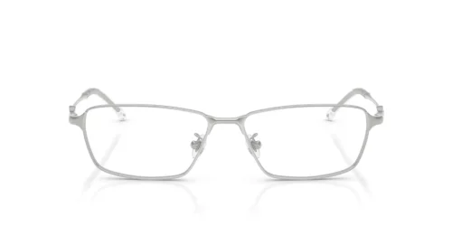 Diesel  DL5008D Shiny Silver Frame