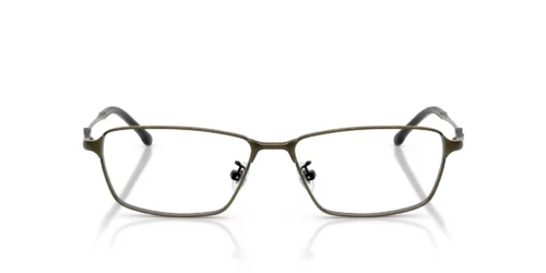 Diesel  DL5008D Brushed Light Grey Green Frame