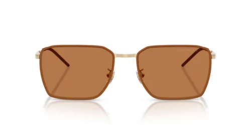 301373 - Shiny Pale Gold frame / Brown lenses