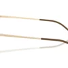 Emporio Armani  EA2172D Brun