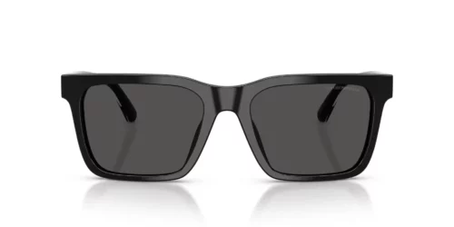 501787 - Shiny Black frame / DARK GREY lenses
