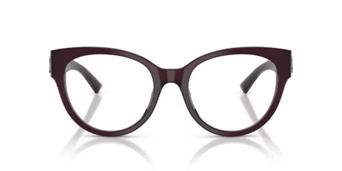 Jimmy Choo  JC3050U Opaline Prune Frame
