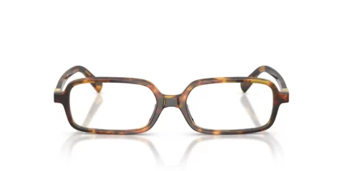 14L1O1 - Honey Havana frame / Clear lenses