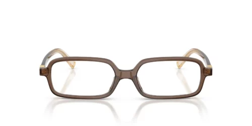 23H1O1 - Brown Transparent frame / Clear lenses