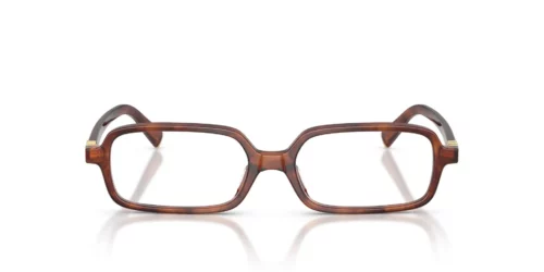 Miu Miu  MU01YV Striped Tobacco Frame