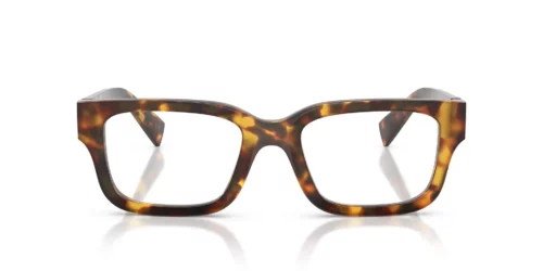 14L1O1 - Havana Honey frame / Clear lenses