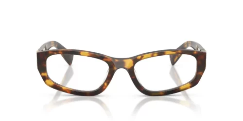 14L1O1 - Havana Honey frame / Clear lenses