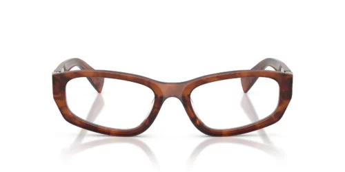 Miu Miu  MU04YV Striped Tobacco Frame