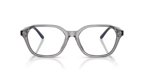 6318 - Shiny Transparent Grey frame / Clear lenses