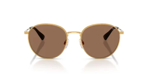 Polo Ralph Lauren  PH3163 Dark Brown