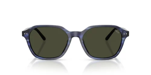 Polo Ralph Lauren PH4234U Dark Grey