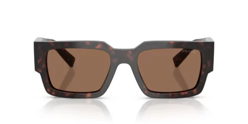 17N06B - Root Tortoise frame / Dark Brown lenses