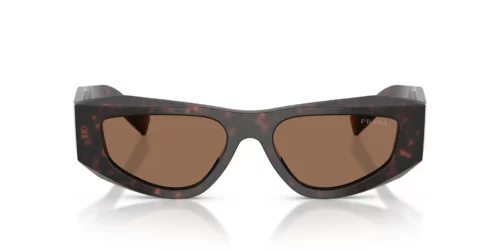 17N06B - Root Tortoise frame / Dark Brown lenses