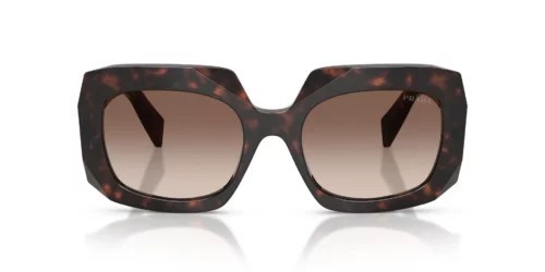 17N10S - Root Tortoise frame / Brown Gradient lenses