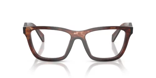 14P1O1 - Caramel Tortoise frame / Clear lenses
