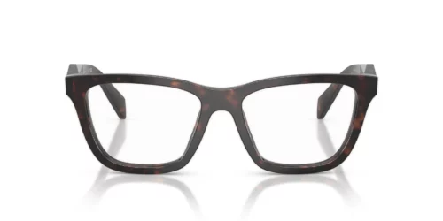 17N1O1 - Root Tortoise frame / Clear lenses