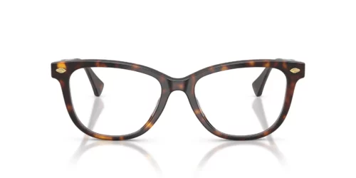 5003 - Armação Havana Escura Brilhante / Lentes Transparentes
