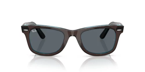 1446R5 - Brown On Transparent Blue frame / Blue lenses