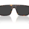 Ray-Ban  RB2222 Polarized Black