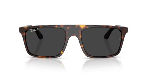 Ray-Ban  RB2222 Polarized Black