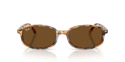 Ray-Ban  RB2232 Brown Polarized