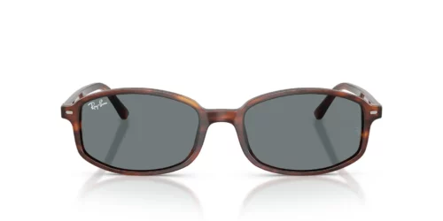 954/62 - Striped Havana frame / Blue lenses
