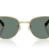 Ray-Ban  RB3766CH Polarized Grey