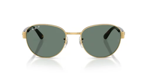 Ray-Ban  RB3766CH Polarized Grey