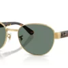 Ray-Ban  RB3766CH Polarized Grey